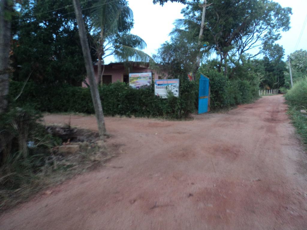 Robert Inn Dambulla Exterior foto